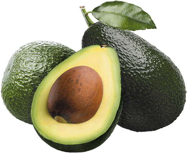 Fresh Avocado